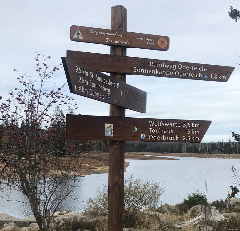 Ein Wegweiser aus Holz direkt am Oderteich zeigt in verschiedene Richtungen für verschiedenen Wanderungen.